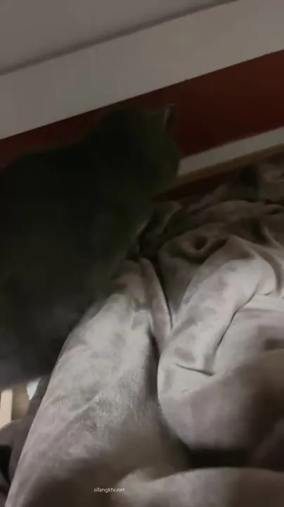 Xiaolu Diule's Adorable Deer Girl Gravure